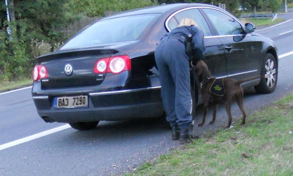 2013-9-25-951051úprava fotky.jpg